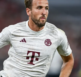 增强球员的 增强球员的