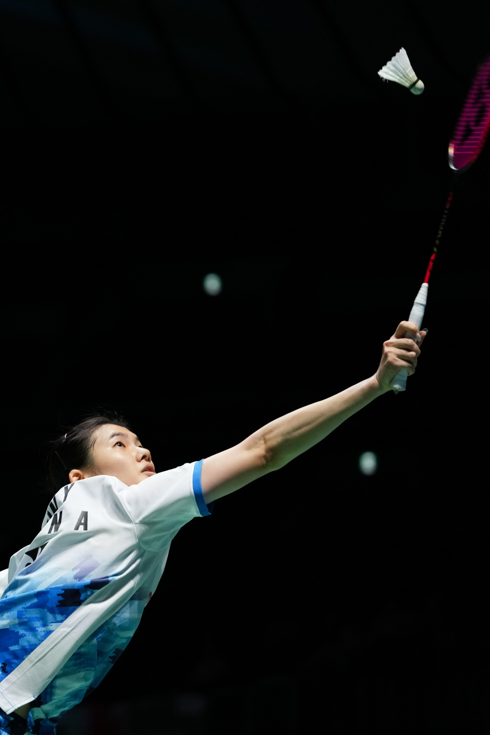 更像一条没 更像一条没