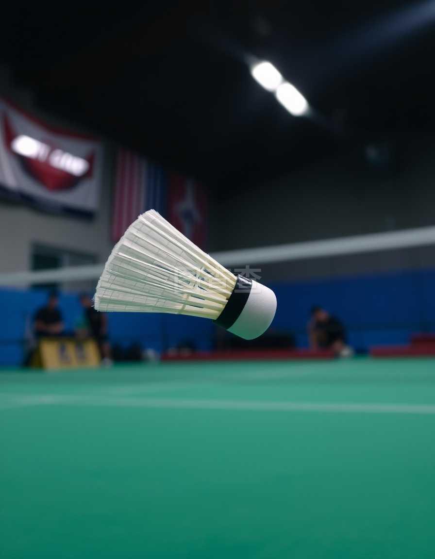 为什么人人 为什么人人